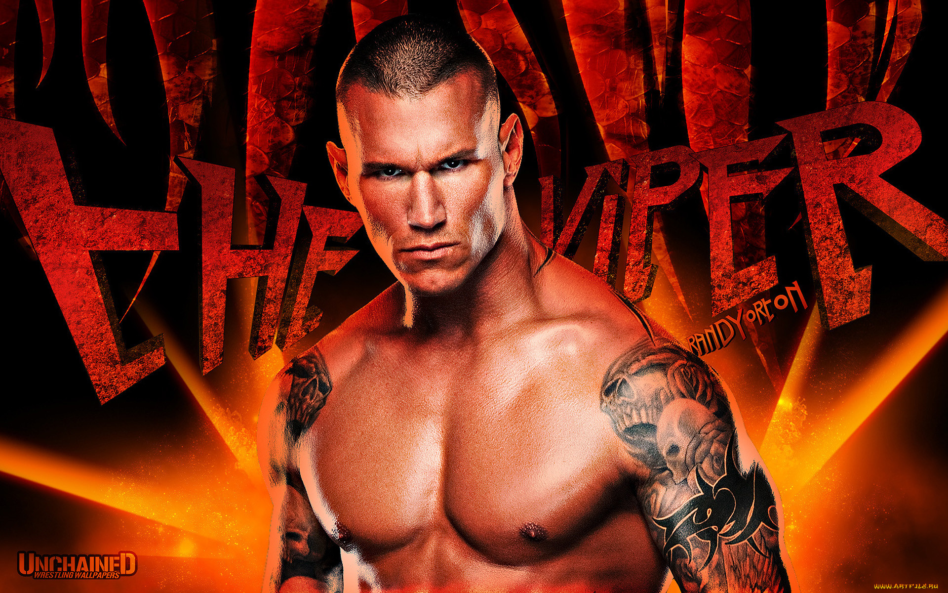 , wwe, randy, orton